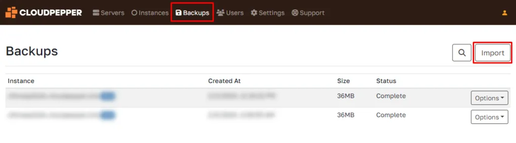 Import your Odoo.zip file into Cloudpepper dashboard as a backup