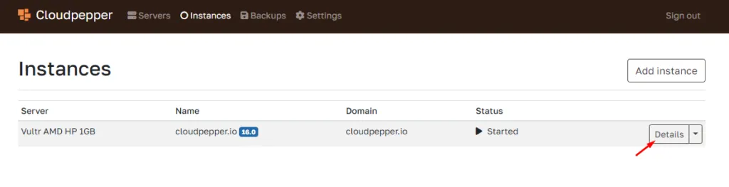 Odoo instance details screen in Cloudpepper