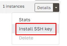 Install SSH key action in Cloudpepper server menu