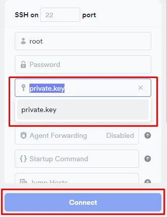Private SSH key selected in Termius