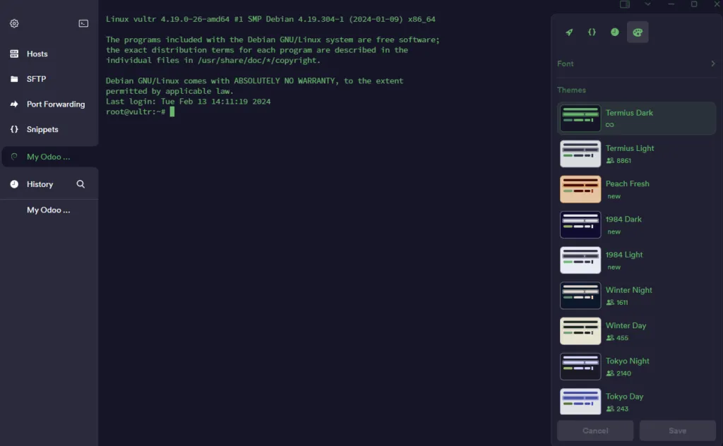 Server successfully connected with Termius