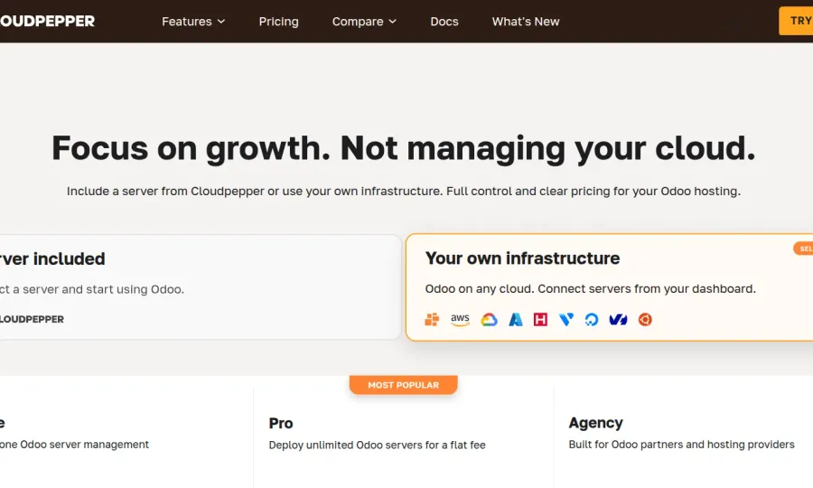 Cloudpepper - Best Odoo Hosting for Odoo Partners