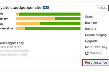 Cloudpepper update screenshot