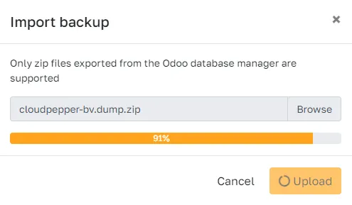 Backup import progress indicator