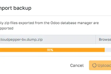 Backup import progress indicator