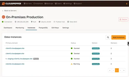 Cloudpepper Odoo hosting dashboard