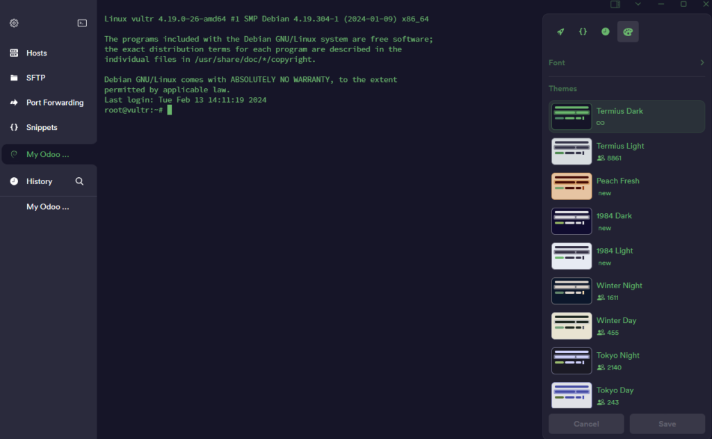 Server successfully connected with Termius