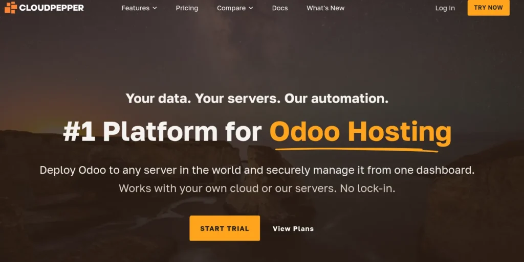 Cloudpepper - Best Odoo Hosting in 2026